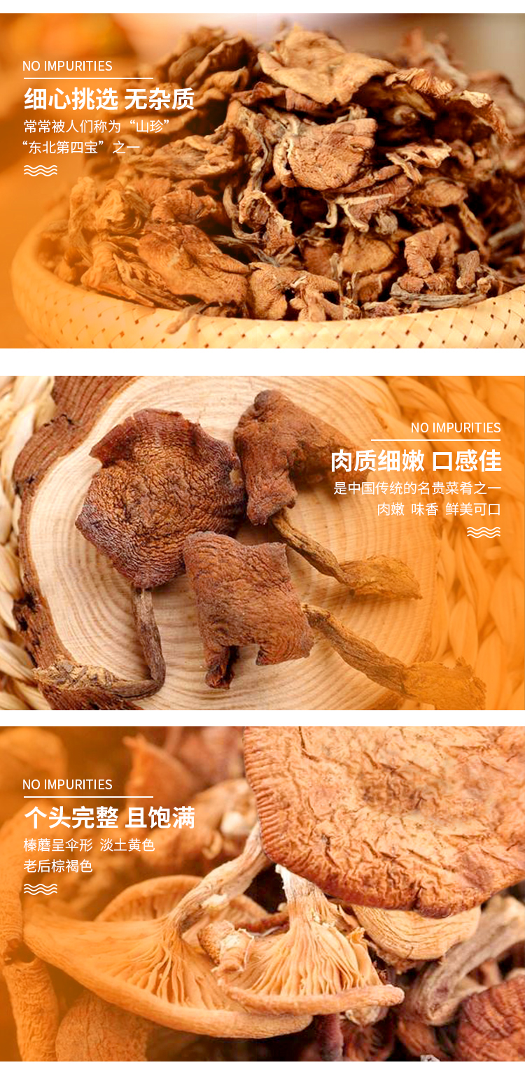  山榛蘑 伊春乐鱼官网app特产品有限责任公司 伊春蓝莓