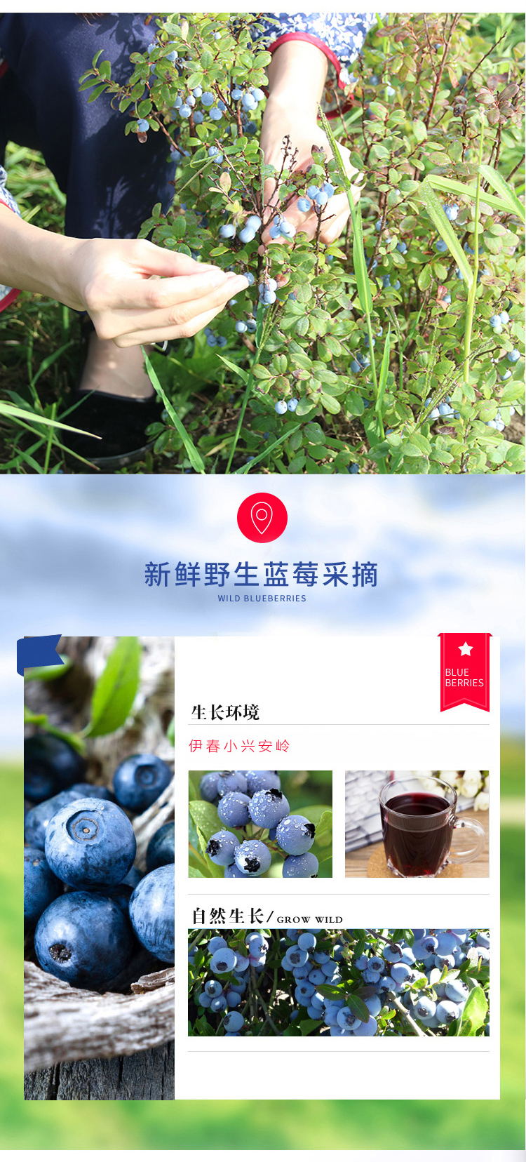  蓝莓果醋 伊春乐鱼官网app特产品有限责任公司 伊春山特产