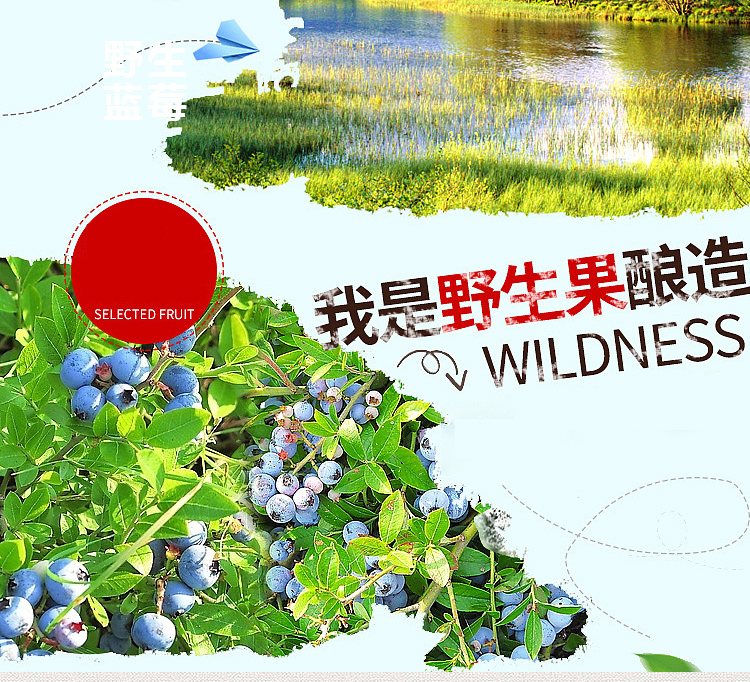 野生蓝莓酒 伊春乐鱼官网app特产品有限责任公司 伊春乐鱼官网app特产品