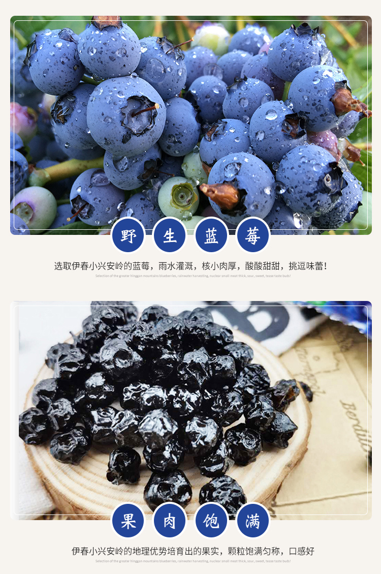  蓝莓 伊春乐鱼官网app特产品有限责任公司 伊春山特产
