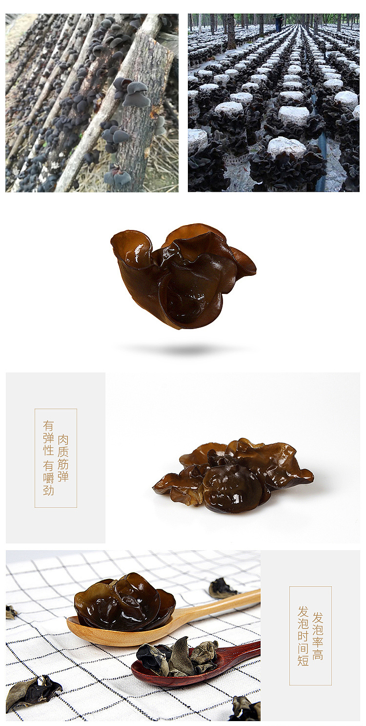  秋木耳 伊春乐鱼官网app特产品有限责任公司 伊春松子