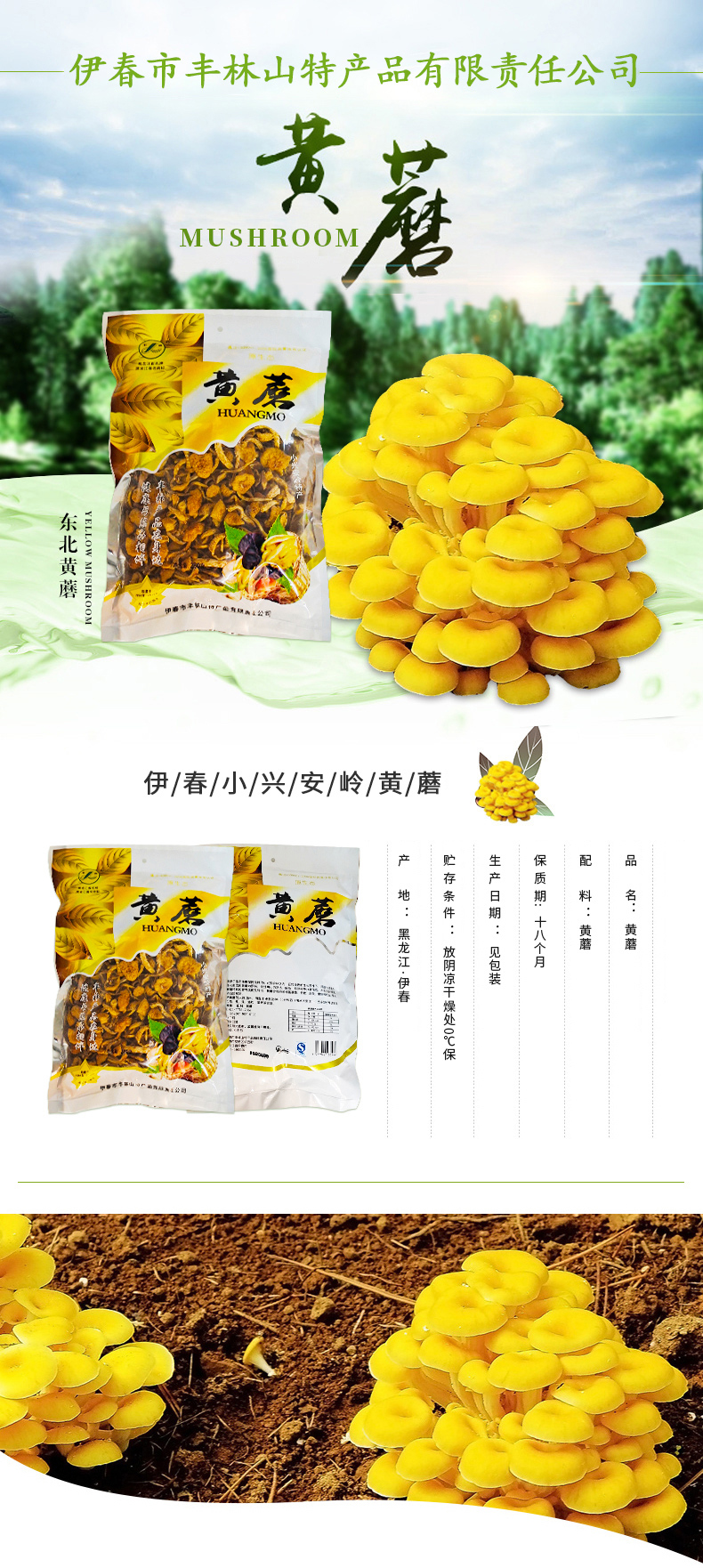  黄蘑 伊春乐鱼官网app特产品有限责任公司 伊春山特产