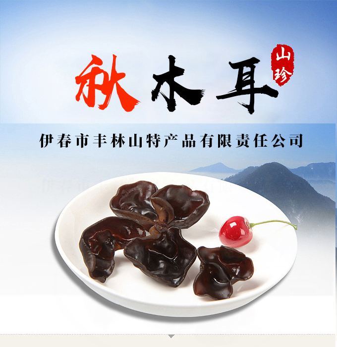  秋木耳 伊春乐鱼官网app特产品有限责任公司 伊春蓝莓